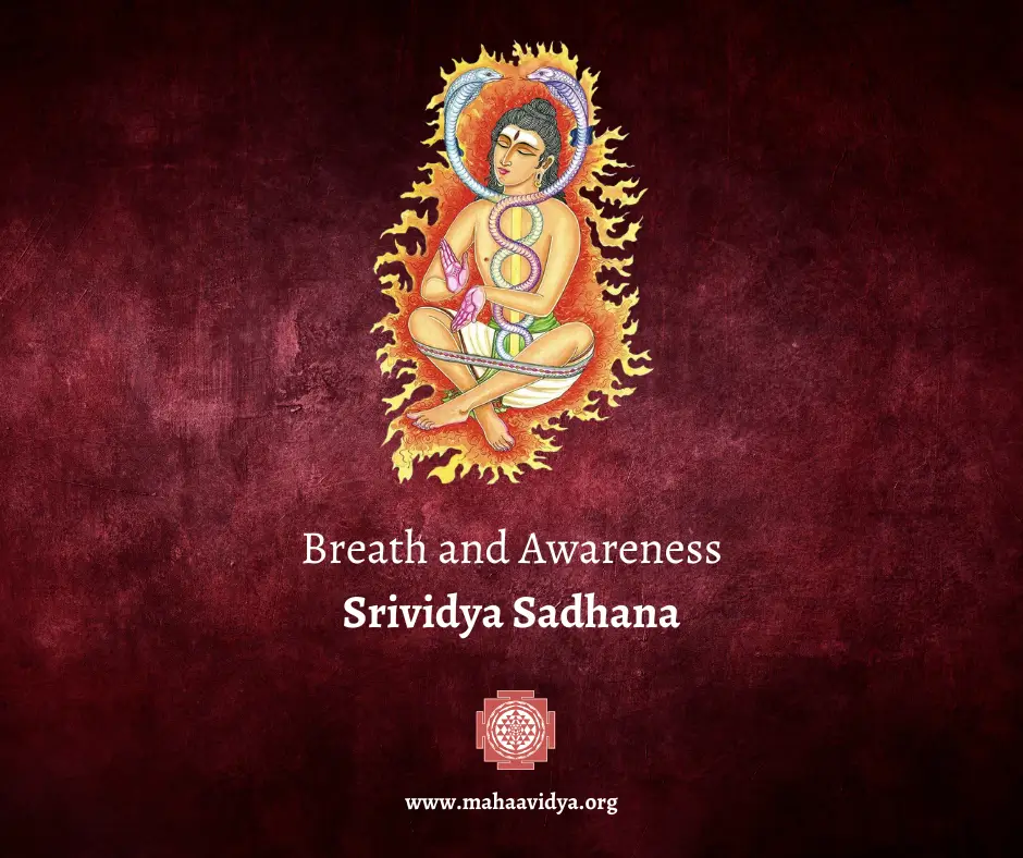 Journey of Breath and Awareness in Sri Vidya Sadhana